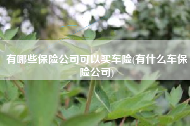 有哪些保险公司可以买车险(有什么车保险公司)