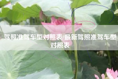驾照准驾车型对照表/最新驾照准驾车型对照表