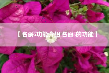【名爵5功能介绍,名爵5的功能】