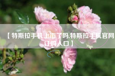 【特斯拉手机上市了吗,特斯拉手机官网订购入口】