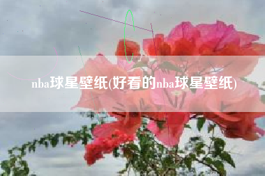 nba球星壁纸(好看的nba球星壁纸)