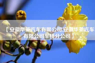 【安徽华菱汽车有限公司,安徽华菱汽车有限公司车桥分公司】