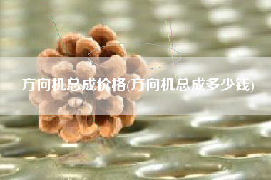 方向机总成价格(方向机总成多少钱) 方向机总成价格(方向机总成多少钱)