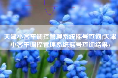 天津小客车调控管理系统摇号查询(天津小客车调控管理系统摇号查询结果) 天津小客车调控管理系统摇号查询(天津小客车调控管理系统摇号查询结果)