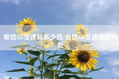 爱信8at变速箱多少钱/爱信8at变速箱的好处 爱信8at变速箱多少钱/爱信8at变速箱的好处