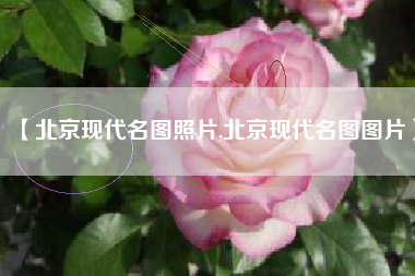 【北京现代名图照片,北京现代名图图片】 【北京现代名图照片,北京现代名图图片】