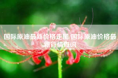 国际原油最新价格走图/国际原油价格最新行情查询