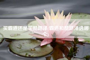 买霸道还是买酷路泽(霸道和酷路泽选哪个)