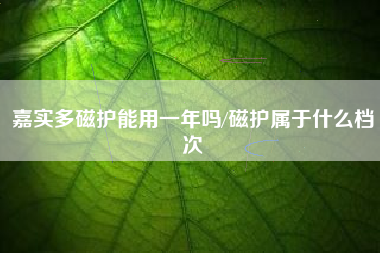 嘉实多磁护能用一年吗/磁护属于什么档次
